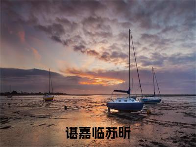 谌嘉临苏昕精彩小说(苏昕谌嘉临)在哪免费看-小说(苏昕谌嘉临)全文完整版免费阅读