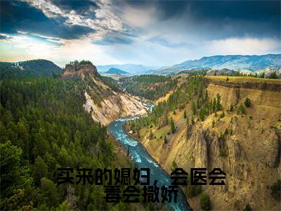 买来的媳妇,会医会毒会撒娇免费阅读妘娇最新章节目录