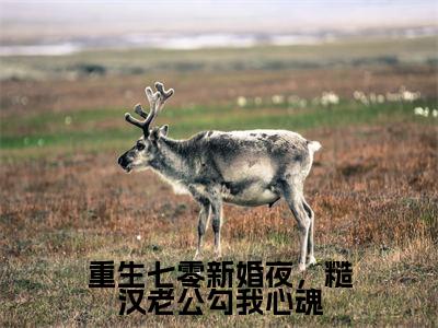 重生七零新婚夜，糙汉老公勾我心魂（叶黎）全文免费阅读无弹窗大结局_（叶黎免费阅读全文大结局）最新章节列表