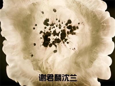 沈兰谢君麟小说全文无删减-谢君麟沈兰沈兰谢君麟小说大结局免费阅读