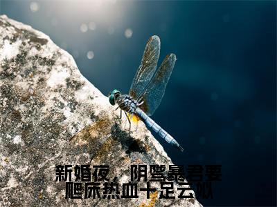新婚夜，阴骘暴君要爬床热血十足云姒小说免费阅读全文在线阅读，谢琰云姒的小说在线阅读全文