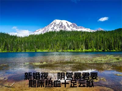 新婚夜,阴骘暴君要爬床热血十足云姒(谢琰云姒)全文完整版免费阅读_谢琰云姒新婚夜,阴骘暴君要爬床热血十足云姒全文免费阅读