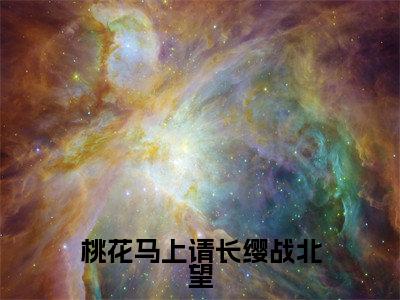 桃花马上请长缨战北望全文免费阅读_(宋惜惜战北望免费阅读无弹窗)桃花马上请长缨战北望高赞小说阅读