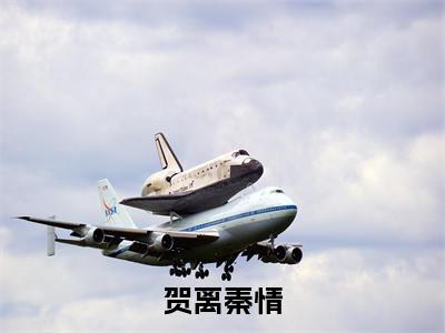 贺离秦情(秦情贺离)小说免费下载全本-贺离秦情(秦情贺离完整版)免费阅读