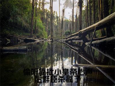 陆轻(偷听疯批小皇帝心声后群臣杀疯了)小说最后结局-(偷听疯批小皇帝心声后群臣杀疯了)完结版免费阅读