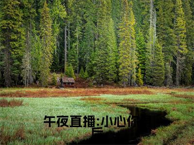 (叶冰夏晴)全文免费阅读午夜直播:小心你身后言情小说讲的是什么