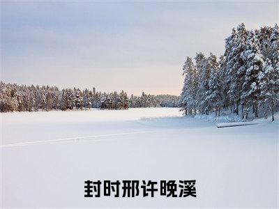 许晚溪封时邢全文(封时邢许晚溪)完整版小说阅读无删减_(封时邢许晚溪)许晚溪封时邢全本列表免费笔趣阁