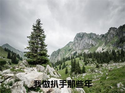 我做扒手那些年小说热门榜单免费阅读，武爱国张思洋抖音新上热文分享_笔趣阁（我做扒手那些年）