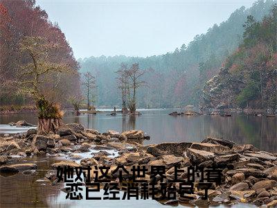 傅明然沈意书免费完结小说-她对这个世界上的眷恋已经消耗殆尽了(傅明然沈意书)在线阅读全文(傅明然沈意书)