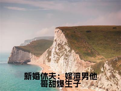 新婚休夫:嫁渣男他哥甜爆生子(沈颜谢怀景)爽文小说全文阅读-新婚休夫:嫁渣男他哥甜爆生子最新章节更新