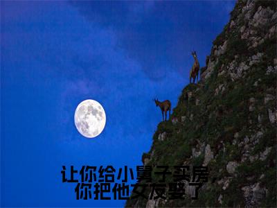 刘怡菲周俊辰为让你给小舅子买房，你把他女友娶了的小说叫什么-最新小说让你给小舅子买房，你把他女友娶了全文阅读