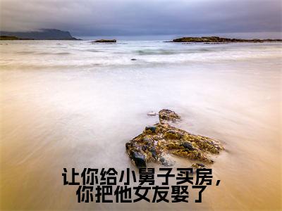 刘怡菲周俊辰(让你给小舅子买房,你把他女友娶了)全文免费阅读无弹窗大结局_(让你给小舅子买房,你把他女友娶了无弹窗)最新章节免费阅读_笔趣阁