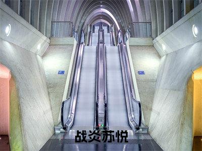 战炎苏悦小说(苏悦战炎全文完整版免费阅读)_战炎苏悦小说免费最新章节列表_笔趣阁