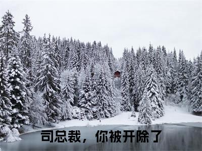 （司总裁，你被开除了）司星熠楚千瓷全文免费阅读无弹窗完整版_司星熠楚千瓷小说全文免费阅读