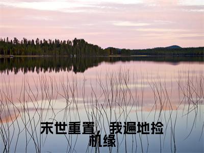 宋昭小说全文免费阅读-末世重置,我遍地捡机缘最新章节列表免费阅读
