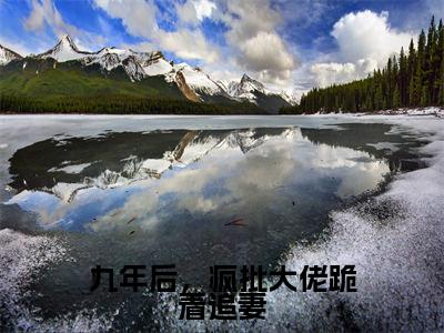 九年后，疯批大佬跪着追妻多人追热门小说傅凌轩顾冉最新章节免费阅读