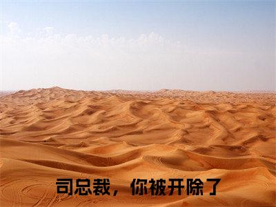 司总裁,你被开除了楚千瓷司星熠正版美文欣赏楚千瓷司星熠小说全文完整版免费阅读