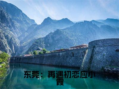 应小霞肖凡(东莞:再遇初恋应小霞)全文免费阅读_(东莞:再遇初恋应小霞)应小霞肖凡最新章节小说免费阅读_笔趣阁