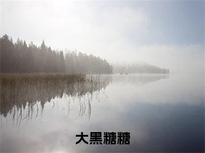 大黑糖糖(糖糖大黑)全文免费阅读无弹窗大结局_大黑糖糖小说免费最新章节列表_笔趣阁