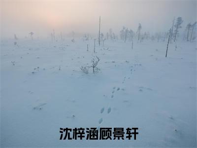 (沈梓涵顾景轩)全文免费阅读无弹窗(沈梓涵顾景轩)顾景轩沈梓涵已完结全集大结局