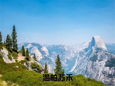 温柏苏禾小说(温柏苏禾)全文免费阅读无弹窗_(温柏苏禾)温柏苏禾最新章节列表