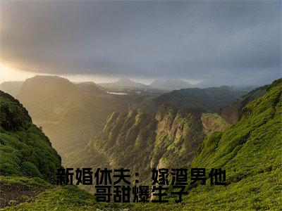 沈颜谢怀景免费新婚休夫：嫁渣男他哥甜爆生子读无弹窗最新章节列表_笔趣阁（沈颜谢怀景）