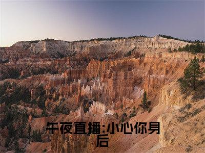 夏晴叶冰(午夜直播:小心你身后全章节完整版)免费阅读_(夏晴叶冰)全文无删减免费阅读(夏晴叶冰)