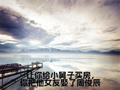 让你给小舅子买房,你把他女友娶了周俊辰(刘怡菲周俊辰)全文免费阅读无弹窗大结局_(让你给小舅子买房,你把他女友娶了周俊辰)最新章节列表