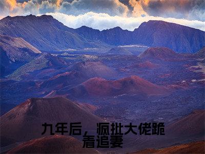 顾冉傅凌轩(九年后,疯批大佬跪着追妻)全文免费阅读无弹窗大结局_(九年后,疯批大佬跪着追妻)顾冉傅凌轩最新章节列表