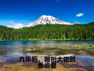傅凌轩顾冉精选热门小说九年后，疯批大佬跪着追妻已完结全集大结局