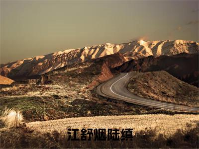江舒烟陆缜(江舒烟陆缜)全文免费阅读无弹窗大结局_(江舒烟陆缜小说免费阅读)最新章节列表_笔趣阁