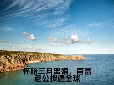 怀胎三月离婚，首富老公搜遍全球免费阅读无弹窗大结局-傅寒夜沈念（怀胎三月离婚，首富老公搜遍全球最新全章节大结局）全文阅读