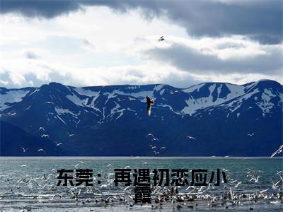 东莞：再遇初恋应小霞免费小说全文免费阅读无弹窗大结局_应小霞肖凡完结版在线阅读