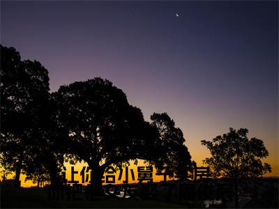 让你给小舅子买房,你把他女友娶了周俊辰(刘怡菲周俊辰)免费小说-主角刘怡菲周俊辰全文在线完本阅读笔趣阁