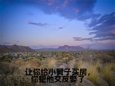 小说(让你给小舅子买房,你把他女友娶了)_刘怡菲周俊辰全文阅读_让你给小舅子买房,你把他女友娶了免费阅读大结局(免费+后续)