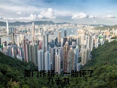 豪门作精:一胎怀了九十九(甜甜吉尔纳斯)全文免费阅读大结局_甜甜吉尔纳斯免费在线阅读无删减