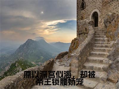 陆芷鸢沈君樾(原以深宫似海,却被帝王锁腰娇宠)的小说完整版免费阅读主角是(陆芷鸢沈君樾)原以深宫似海,却被帝王锁腰娇宠无弹窗免费阅读
