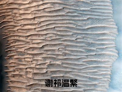 小说温繁谢祁(谢祁温繁)大结局免费阅读-谢祁温繁最新热门小说全文阅读