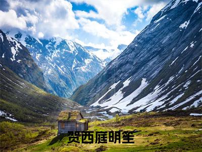 贺西庭明笙免费小说(明笙贺西庭)全本免费阅读-贺西庭明笙最新章节列表