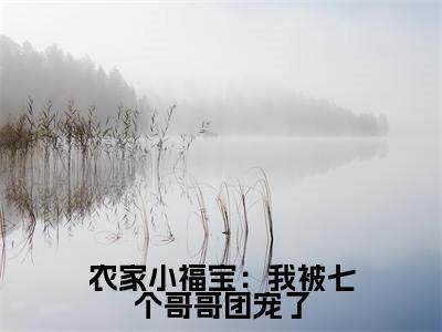 农家小福宝：我被七个哥哥团宠了（糖宝）免费阅读无弹窗-小说农家小福宝：我被七个哥哥团宠了大结局全文免费阅读