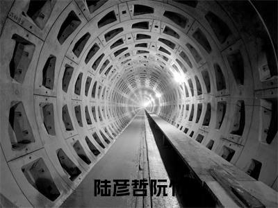 陆彦哲阮竹(阮竹陆彦哲)小说全文免费阅读无弹窗大结局_陆彦哲阮竹小说免费阅读最新章节列表笔趣阁(阮竹陆彦哲)