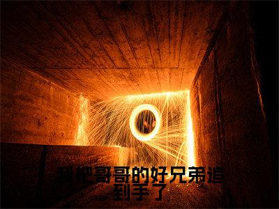 我把哥哥的好兄弟追到手了小说(顾星熠陆枝蔓)全文免费我把哥哥的好兄弟追到手了阅读无弹窗大结局-(顾星熠陆枝蔓)笔趣阁