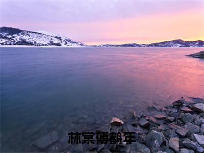 傅鹤年林棠（林棠傅鹤年）免费小说全文完整版-林棠傅鹤年最新章节完整版阅读