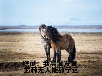 综武：我高调发育，武林无人能敌宁远（黄蓉宁远）全文免费阅读无弹窗大结局_综武：我高调发育，武林无人能敌宁远最新章节列表_笔趣阁