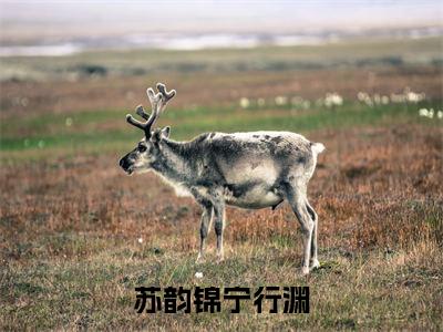 苏韵锦宁行渊（苏韵锦宁行渊）全文免费阅读最新章节大结局_苏韵锦宁行渊最新章节列表_笔趣阁