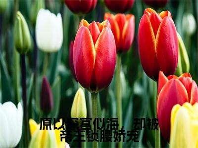 原以深宫似海,却被帝王锁腰娇宠(陆芷鸢沈君樾)最新章节阅读-热点小说榜单推荐陆芷鸢沈君樾