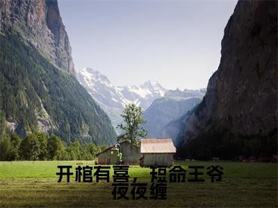 开棺有喜,短命王爷夜夜缠全文免费阅读无弹窗大结局-夜景渊洛溪在线阅读