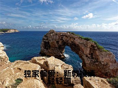 独家偏爱:靳教授请轻轻吻免费小说-(独家偏爱:靳教授请轻轻吻)时宁靳宴完结版在线阅读