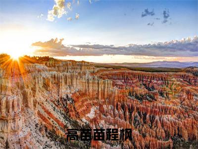 程枫高苗苗（高苗苗程枫）的小说完整版免费阅读主角是（程枫高苗苗）高苗苗程枫无弹窗免费阅读