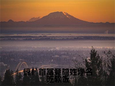 惊！首富竟隐姓埋名吃软饭（林冉傅时煜小说）全文免费阅读无弹窗大结局_惊！首富竟隐姓埋名吃软饭小说林冉傅时煜列表